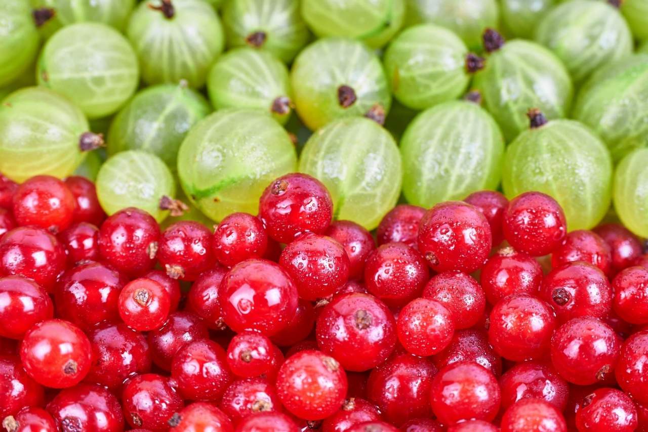 EcoSarga: los beneficios de comprar fruta ecológica online
