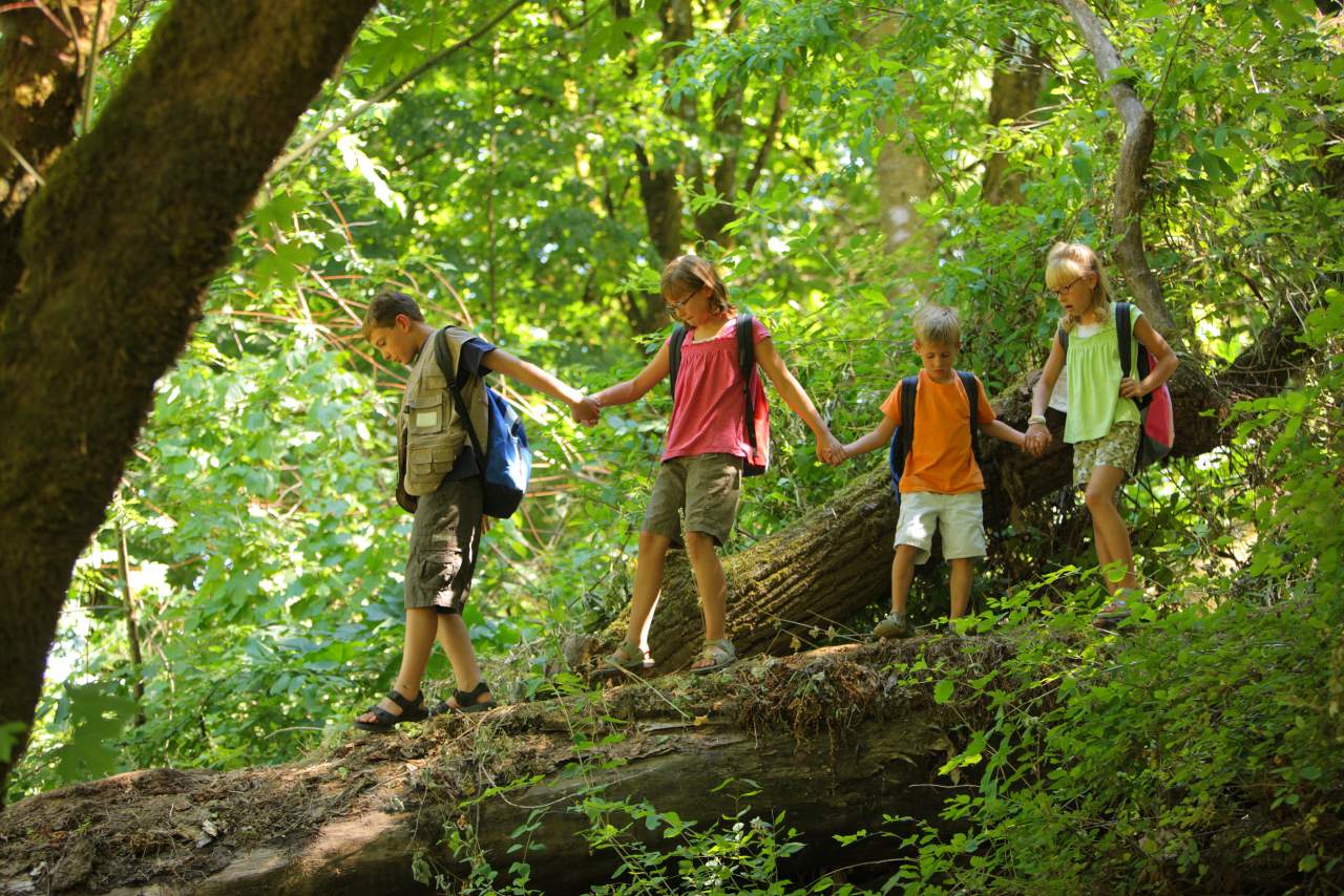 Aventurarte: ¿Son recomendables los campamentos de verano en 2021?
