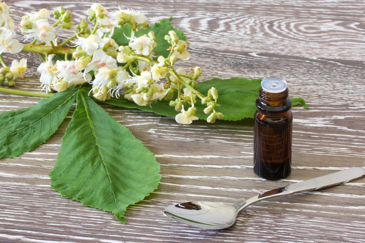 Flores de Bach: terapia floral para vivir mejor