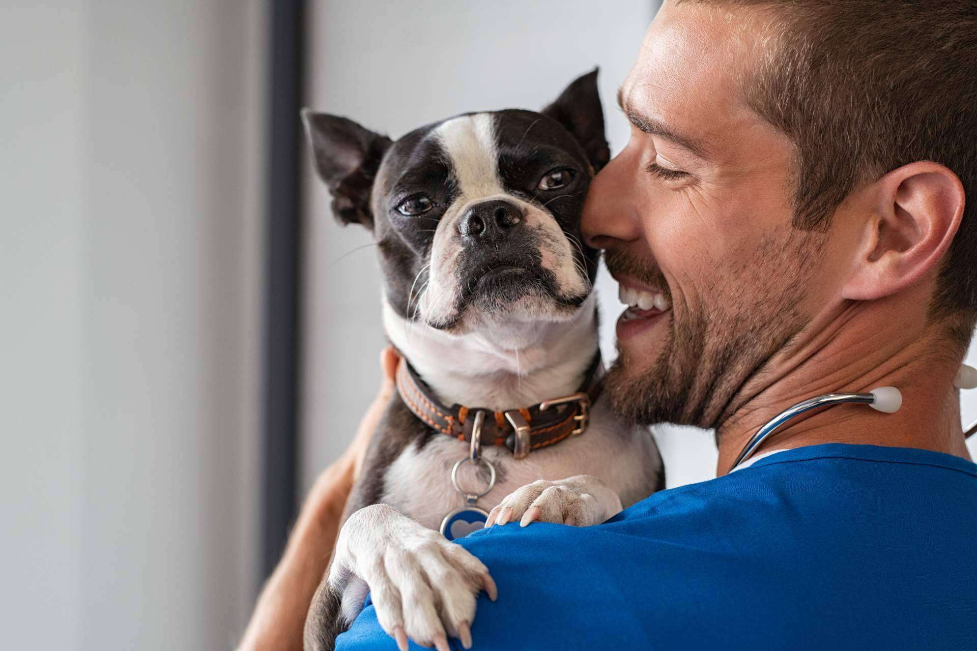¿Qué ofrece el Curso Auxiliar Técnico de Veterinaria de Tecni Estudio?