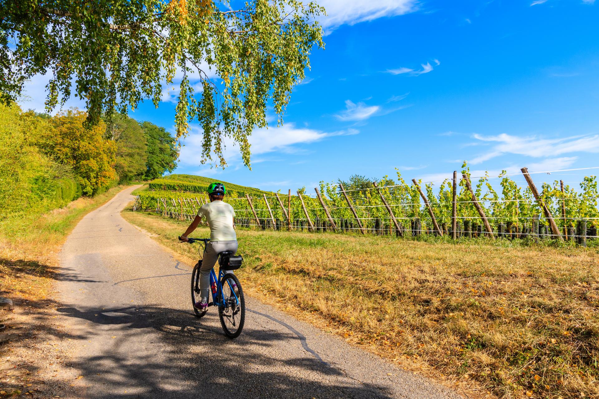 Marketing profesional de turismo rural: Ruralzoom