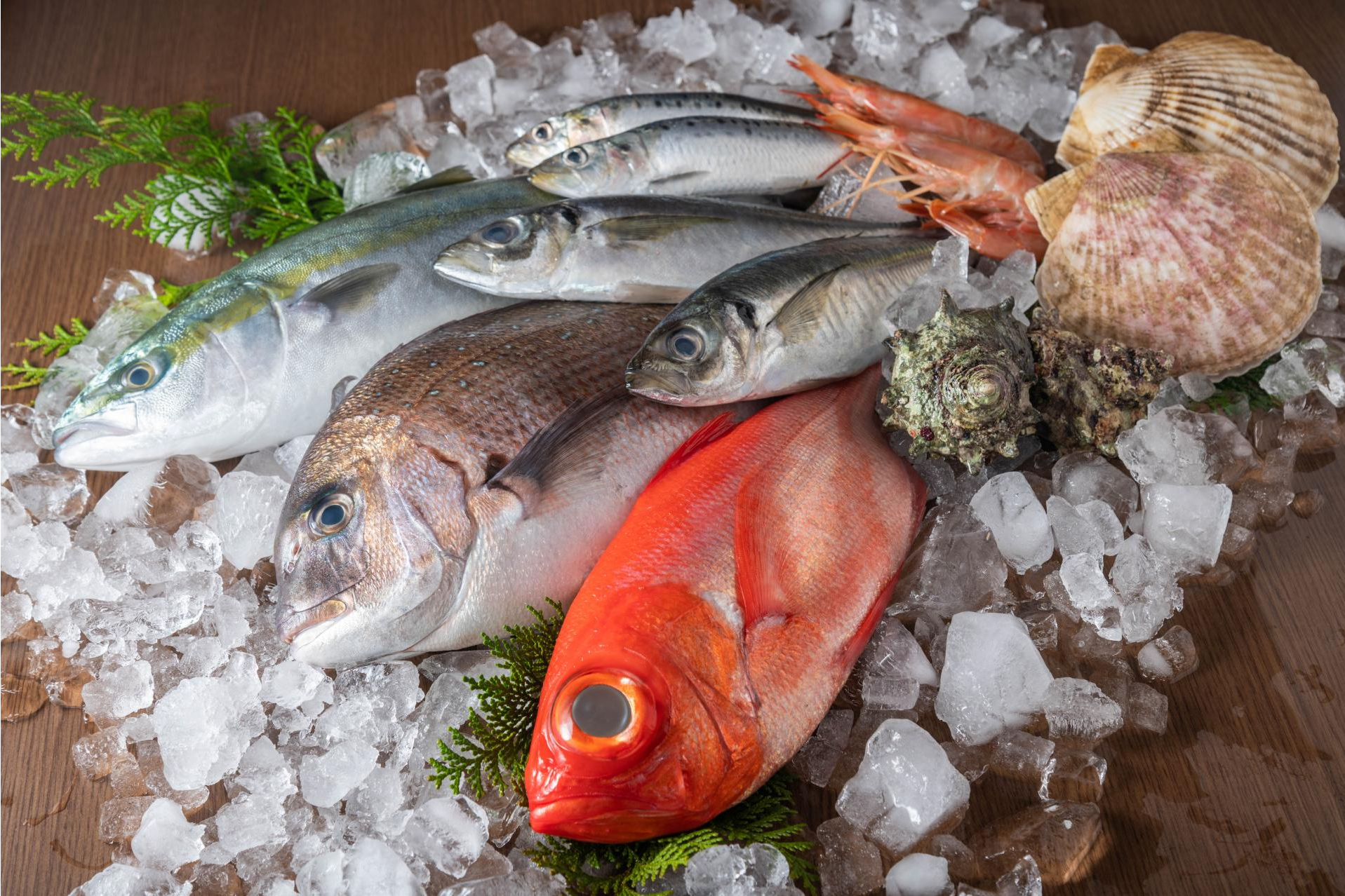 ¿Cuáles son las cámaras frigoríficas para pescaderías más populares en España? Aacore Supply