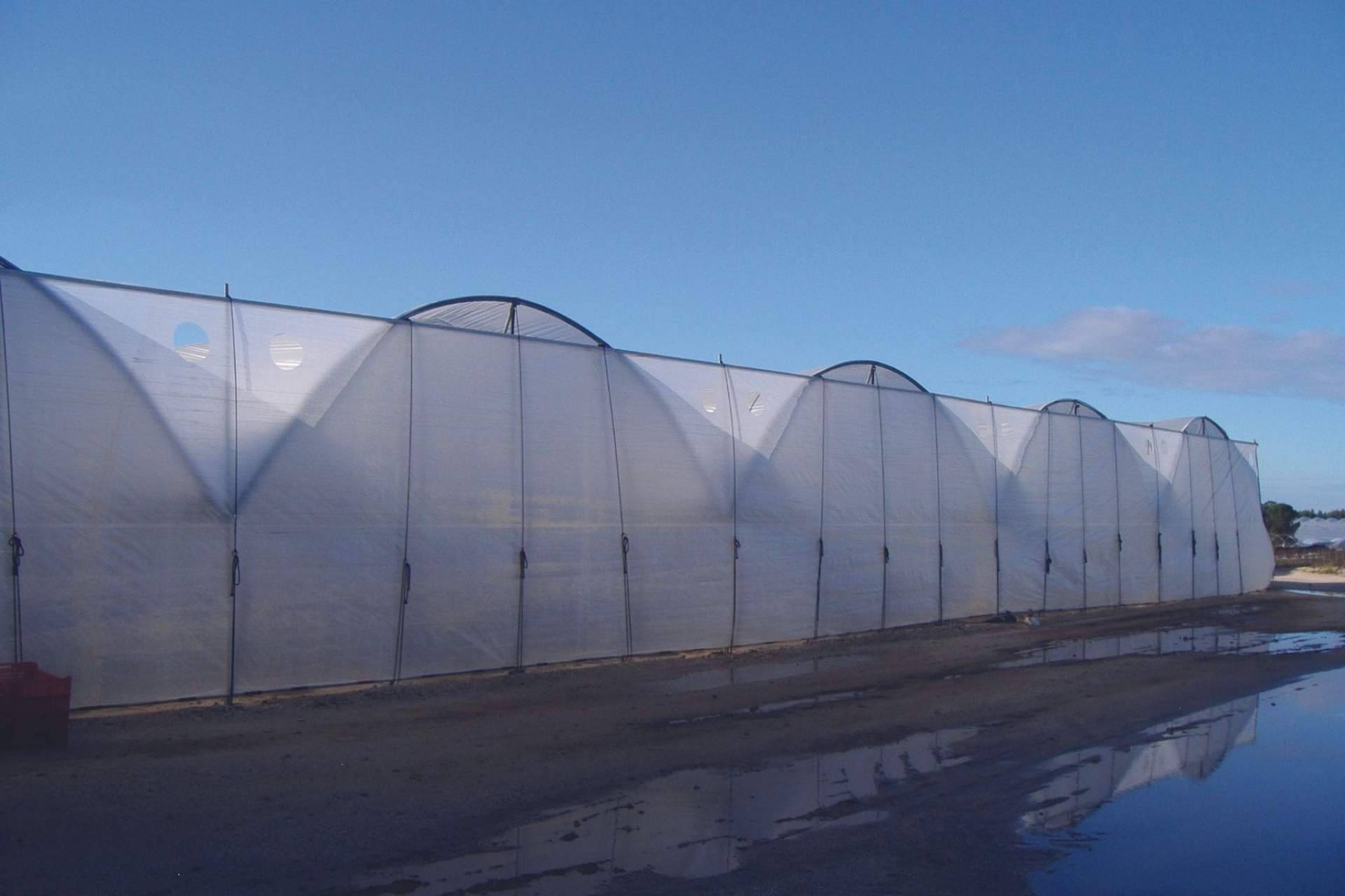 AGRALIA: la empresa con tecnología patentada para la protección de cultivos que tiene presencia internacionalmente