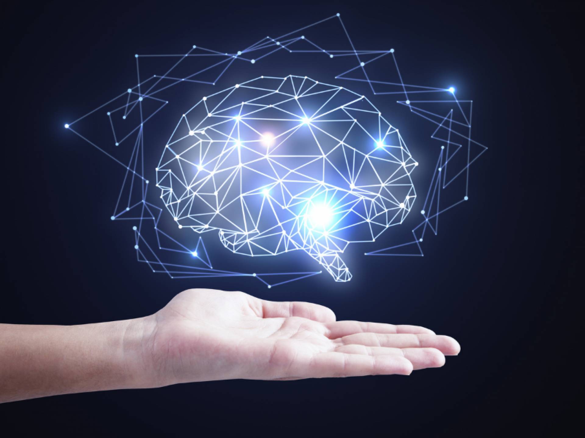 Los suplementos que ayudan a mejorar el rendimiento cognitivo sin efectos secundarios: Nootrópicos naturales de Nutribiolite