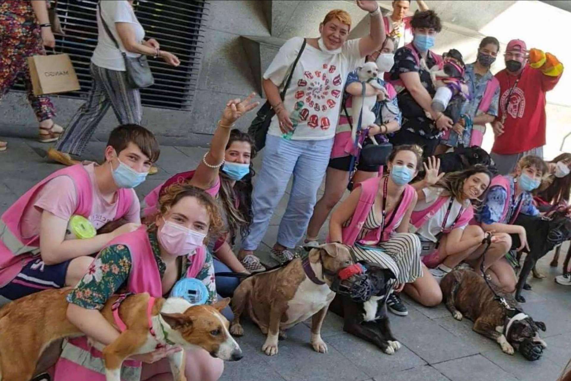 PERROBUENO: la guardería canina para que las mascotas estén como en casa, libres y sin jaulas