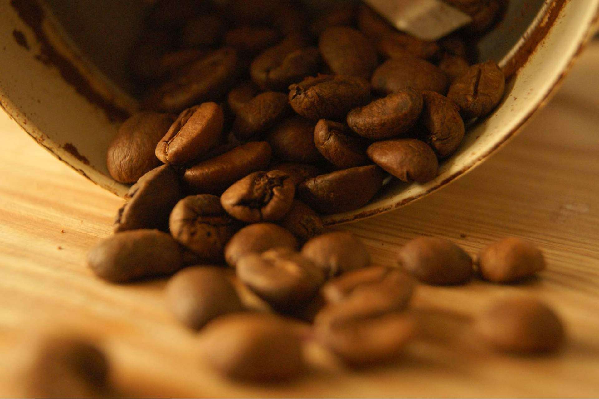 ¿Cuál es el mejor café especial?: Cafés Guayacán