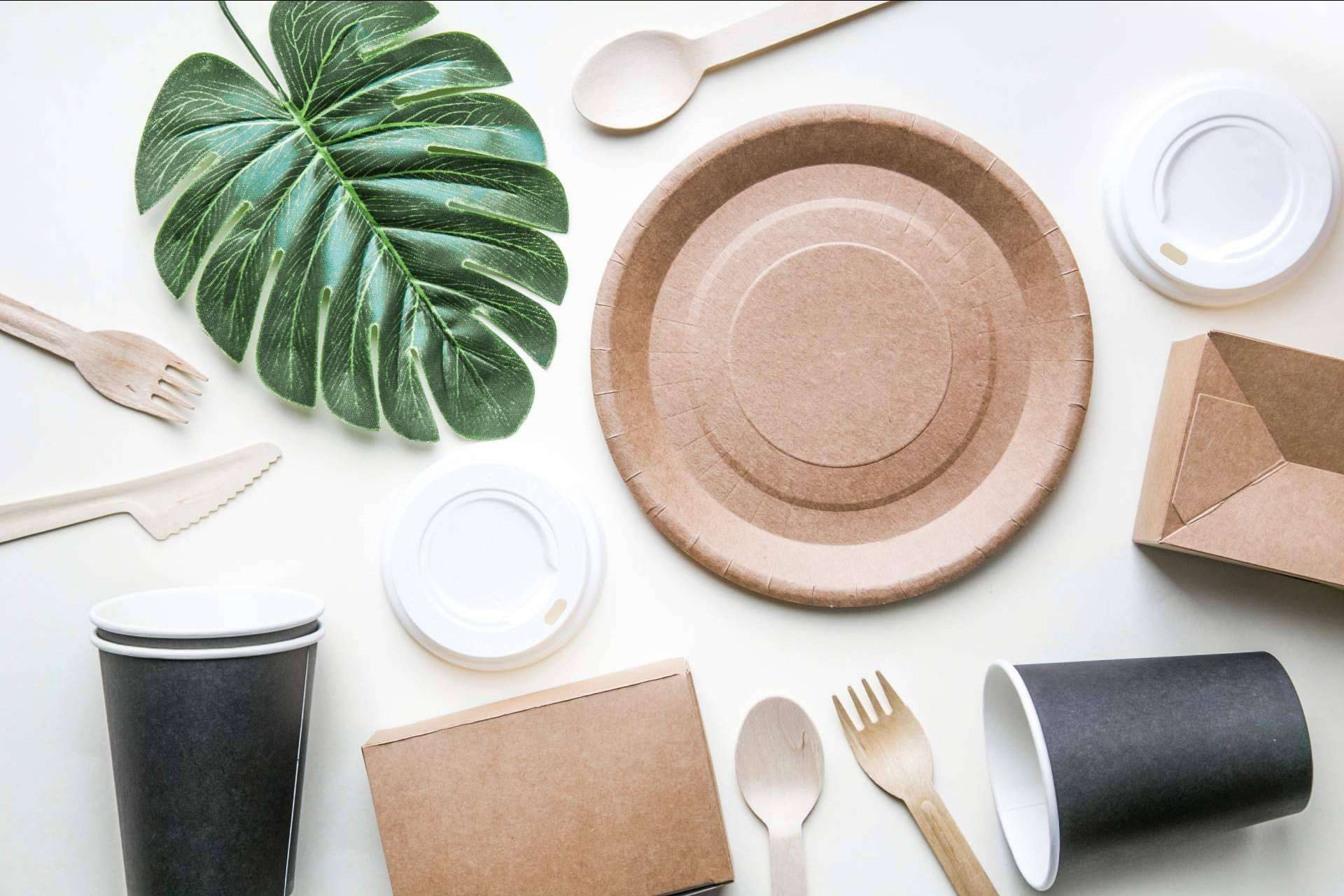 Ecofiesta, el catálogo de menaje ecológico desechable para celebrar y cuidar el medioambiente