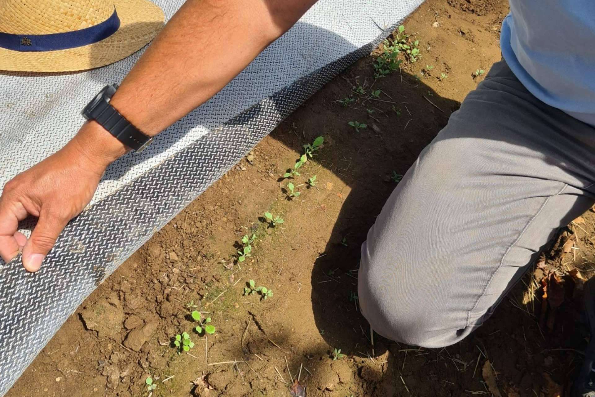 Proteger los cultivos ante temporadas de sequía con los tejidos Agrisoil de la empresa Agralia