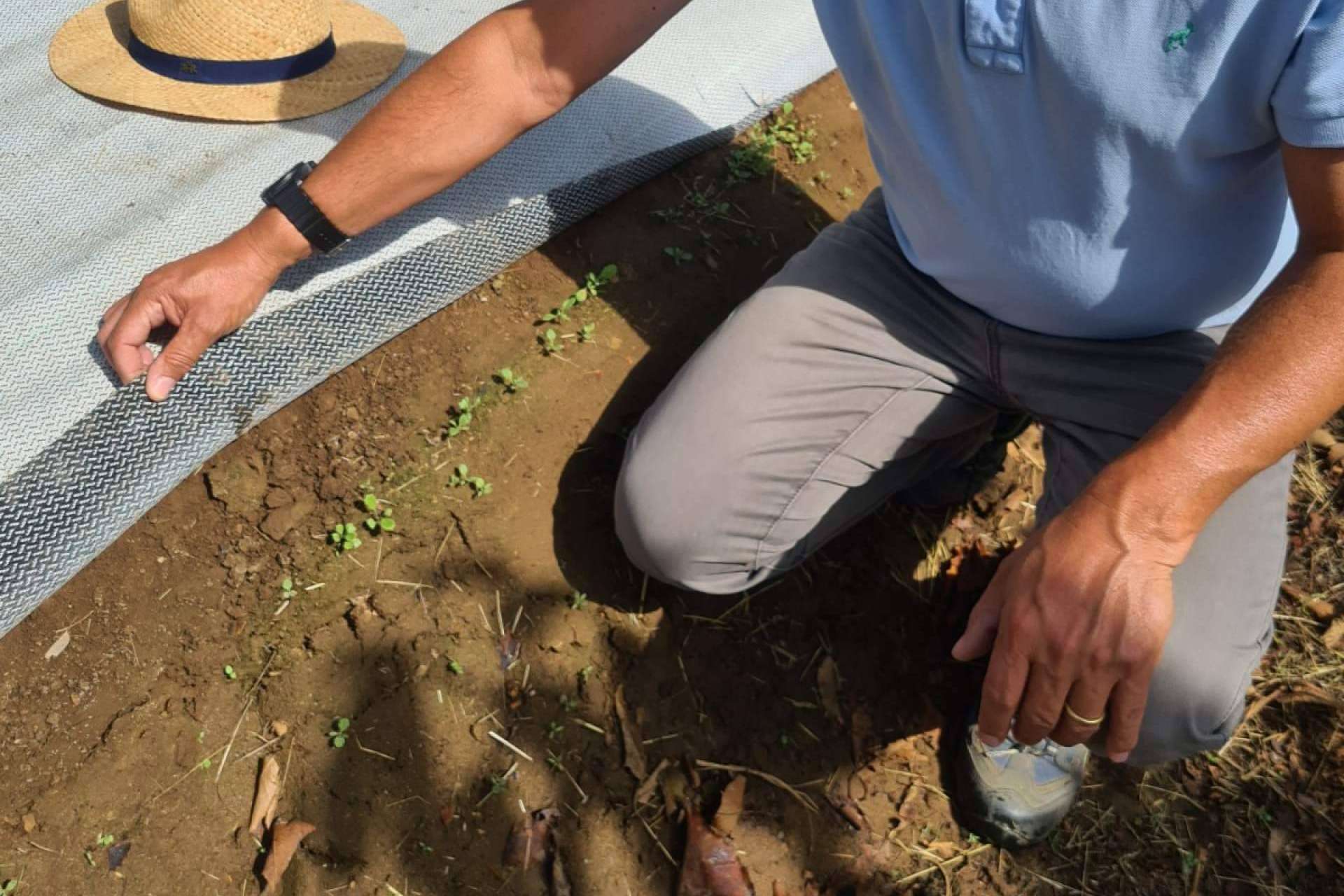 Agralia y su tejido cubresuelos Agrisoil