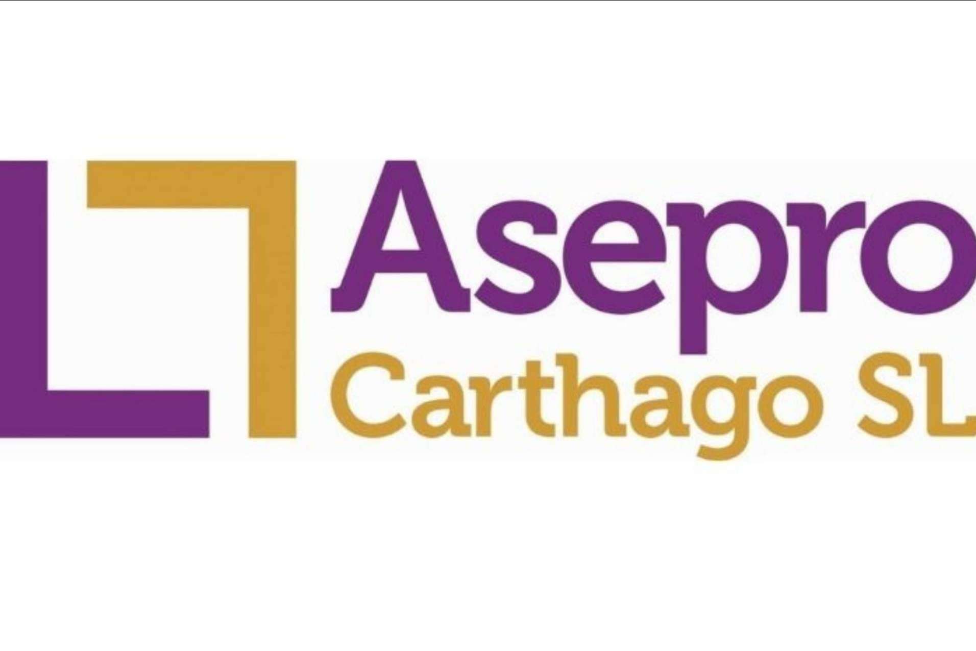 El caso de los creadores de contenido en la fiscalidad de los negocios digitales,  por Asepro Carthago