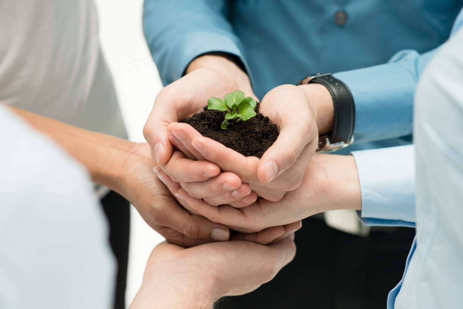 La responsabilidad ambiental empresarial, por Ipostar
