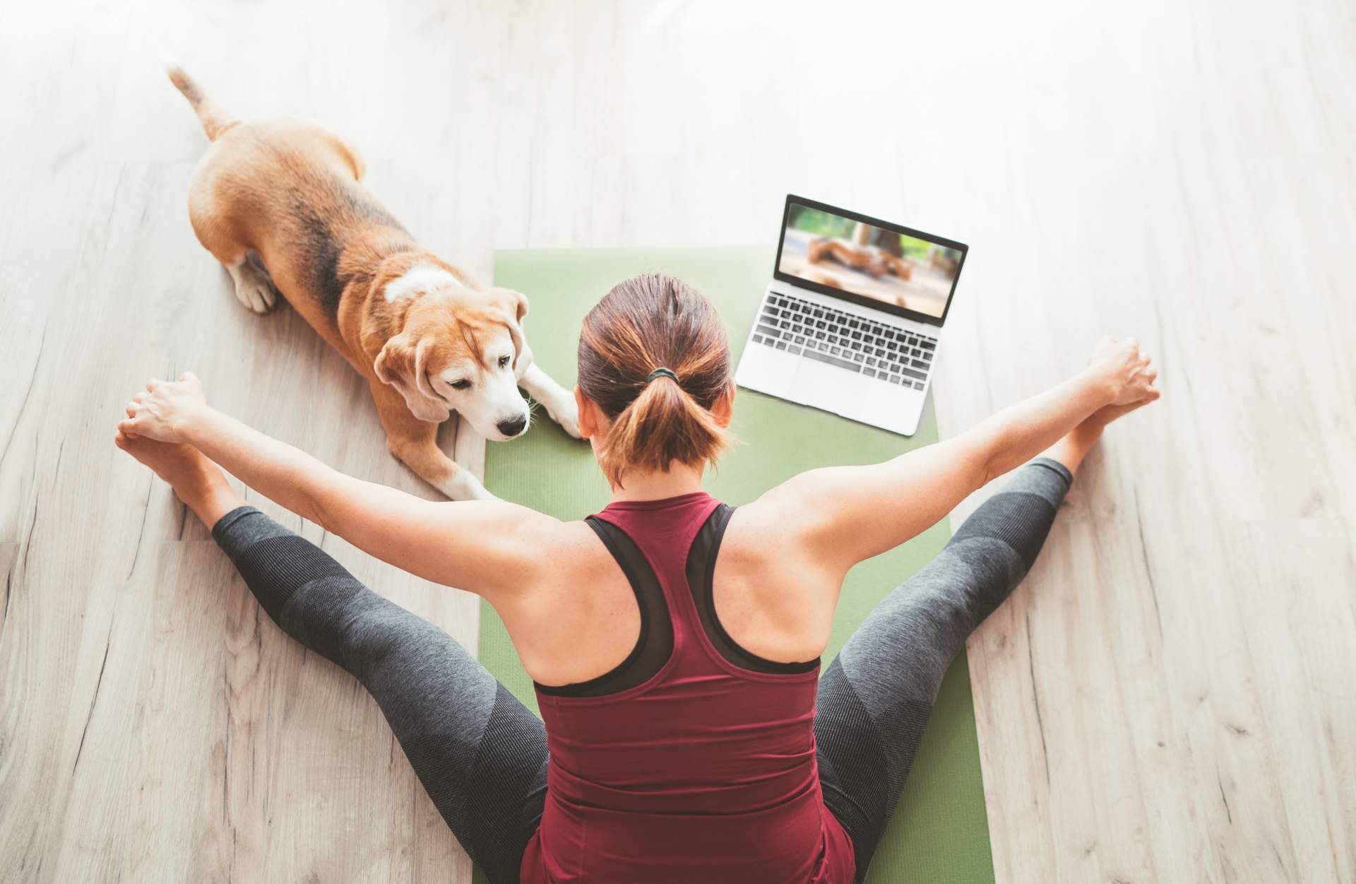 De una forma divertida, se puede entrenar la fuerza en casa