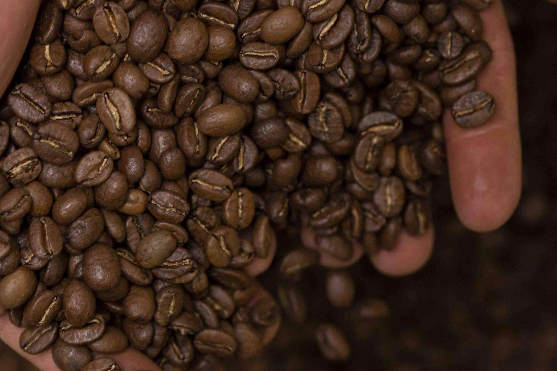 El café de especialidad de Syra Coffee, un tesoro al alcance de todo el mundo