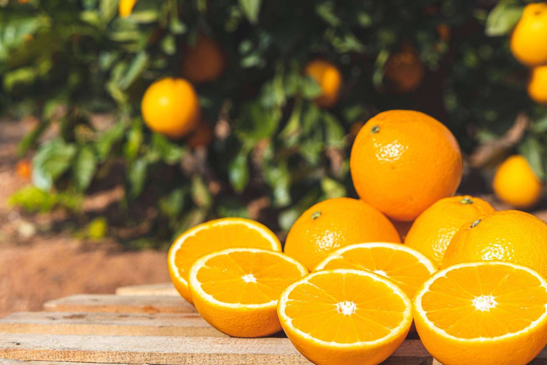 Las ventajas de comprar naranjas online en Naranjas Quique