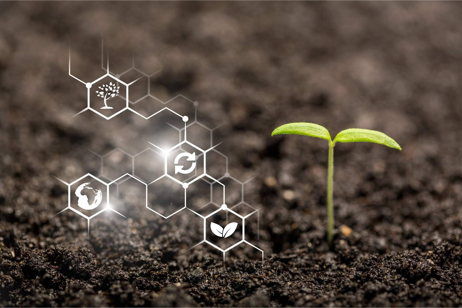 La internet de las cosas ofrece una agricultura inteligente
