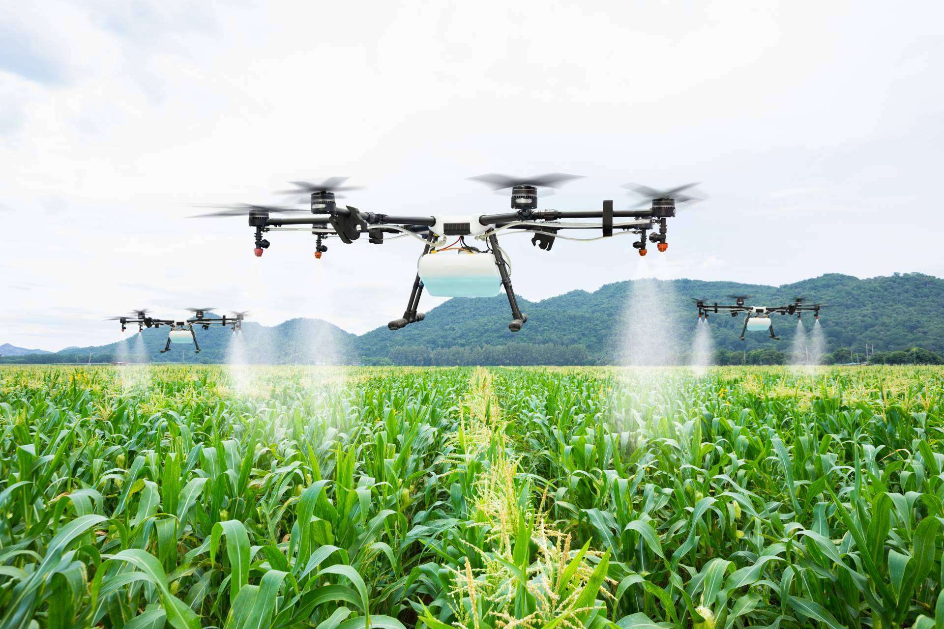 Drones agricultura, el nuevo modelo del futuro de la mano de IbericaDron