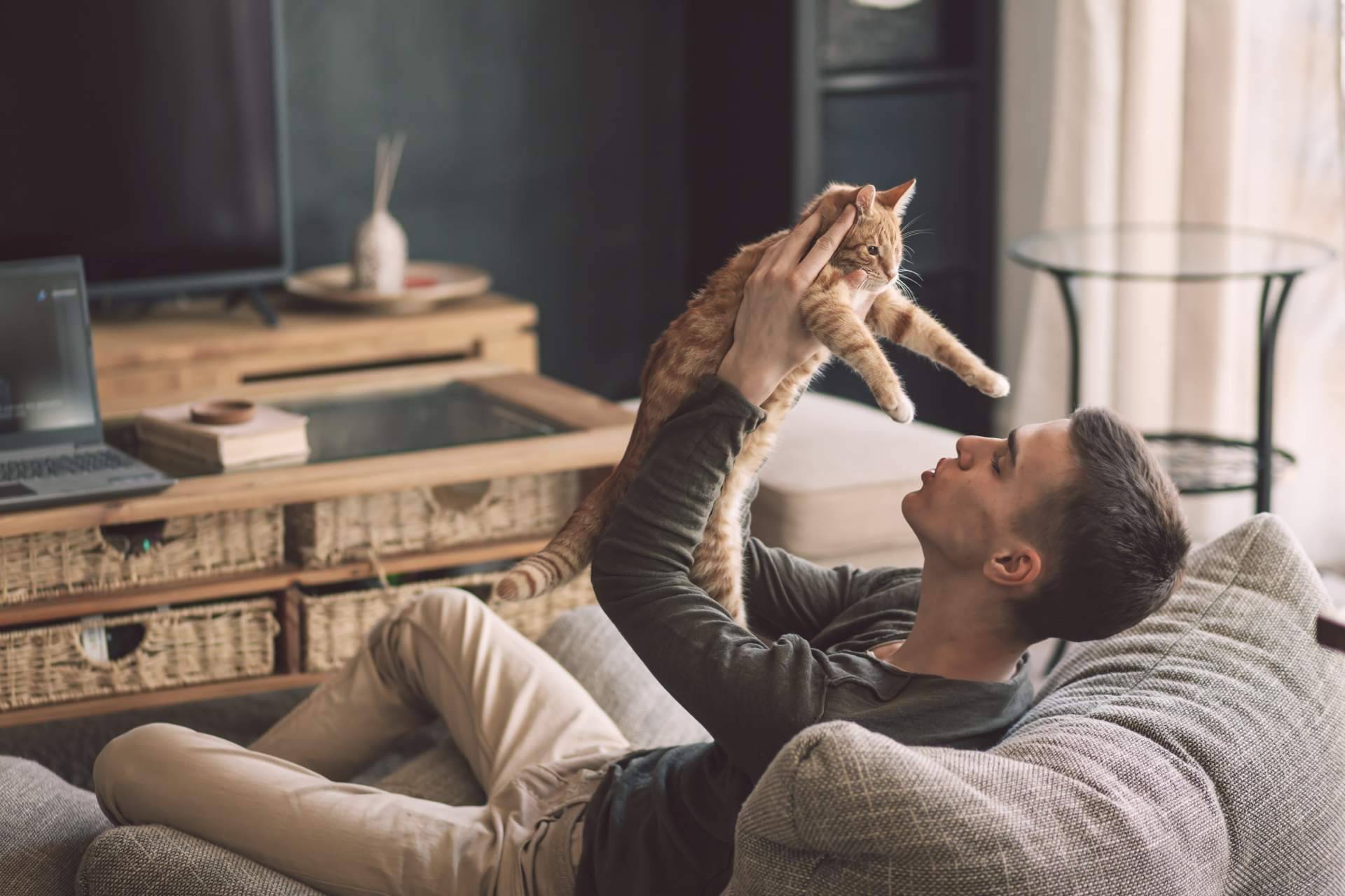¿Qué beneficios aporta el leer diariamente el blog de 1 Click Vet?