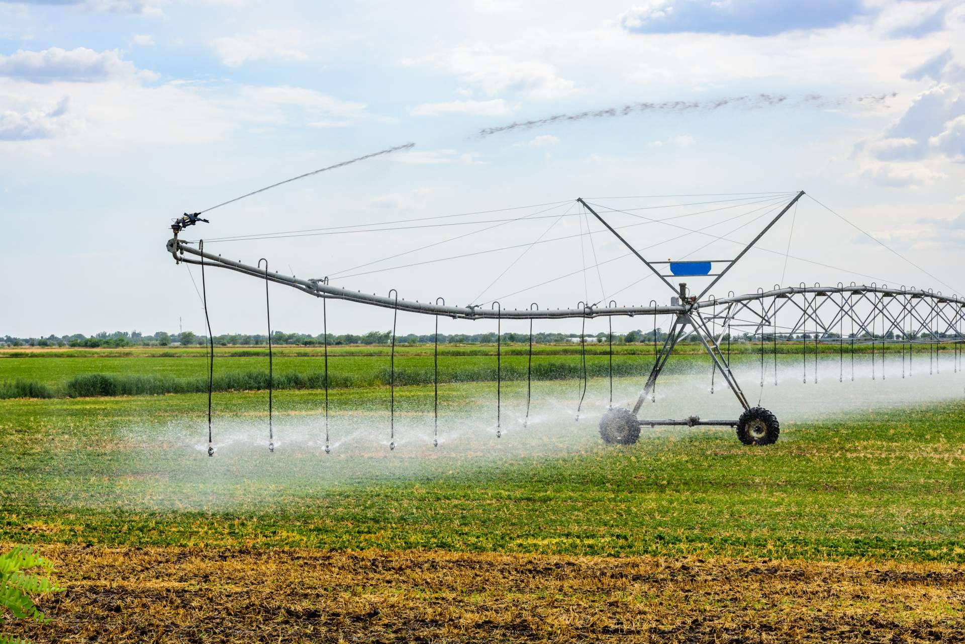 Una anomalía transitoria como la sequía impulsa la necesidad de optimizar la gestión del agua para riego