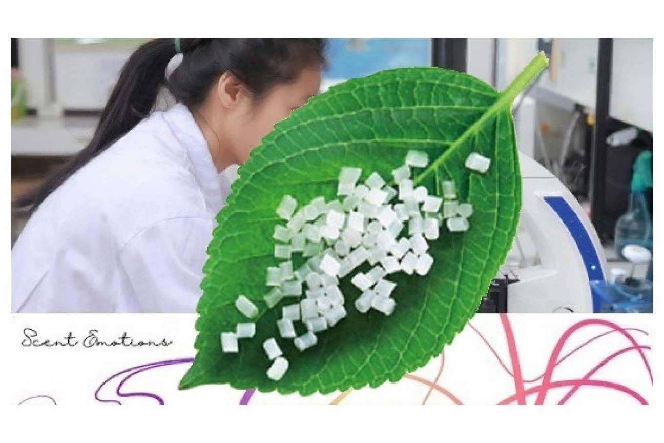La participación de Scent Emotions en el Programa de Prevención y Gestión de Residuos y Recursos de Cataluña