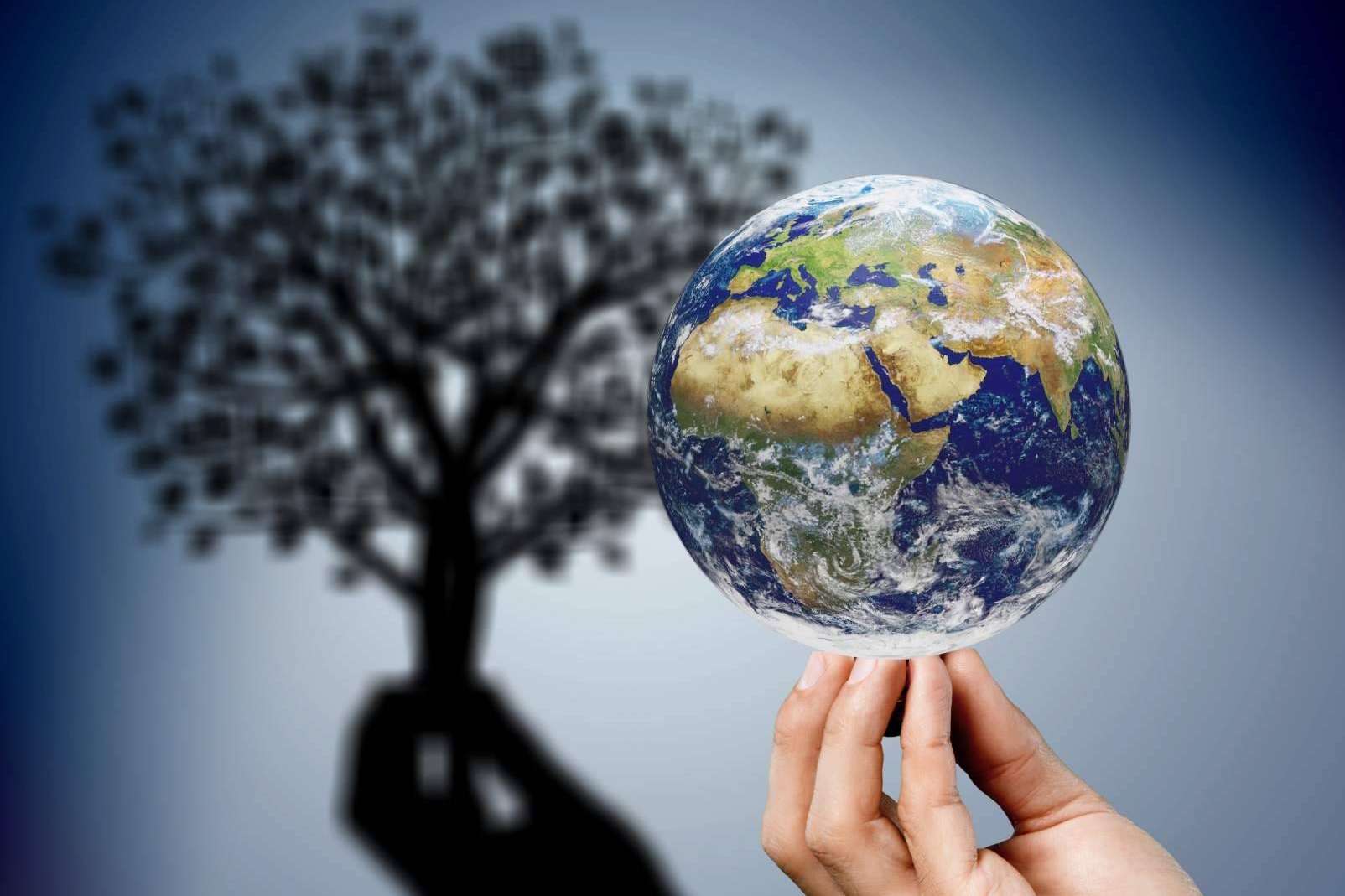 La importancia de marcar objetivos de sostenibilidad ambiental en las empresas