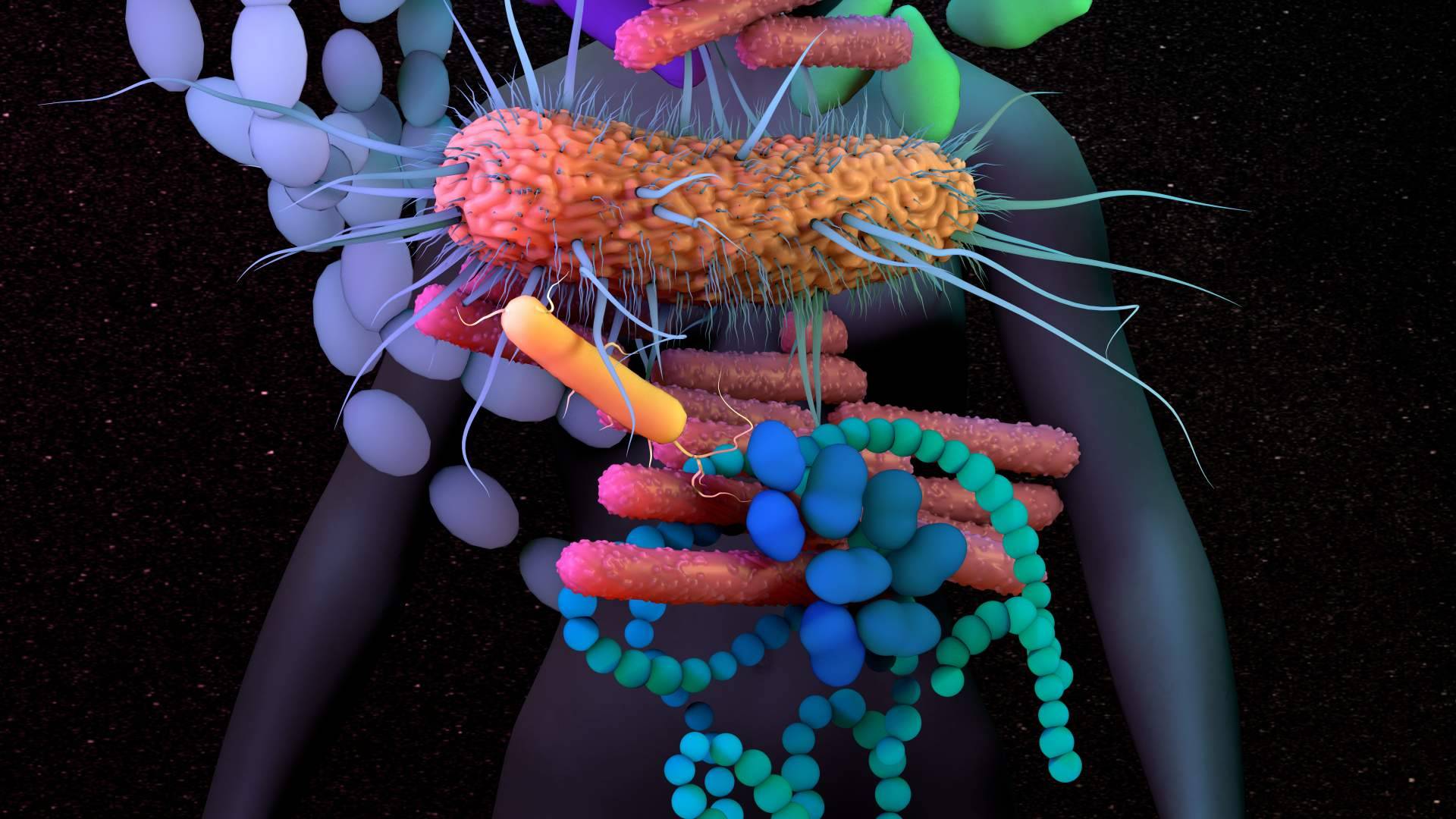 Dr. Fernando Ruger Viarengo, uno de los grandes referentes en nutrigenética y microbiota en España
