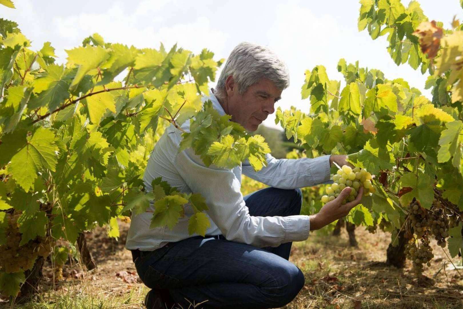 El Vino Pedro Ximénez ecológico es una elaboración única en el sector vinícola a cargo de Bodegas Robles