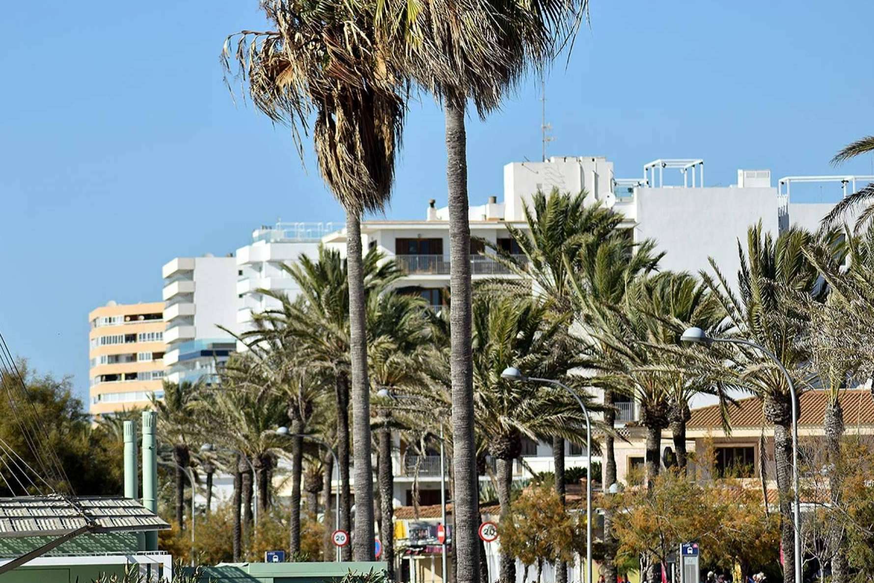 Mallorca Informa reforzará su sección de turismo