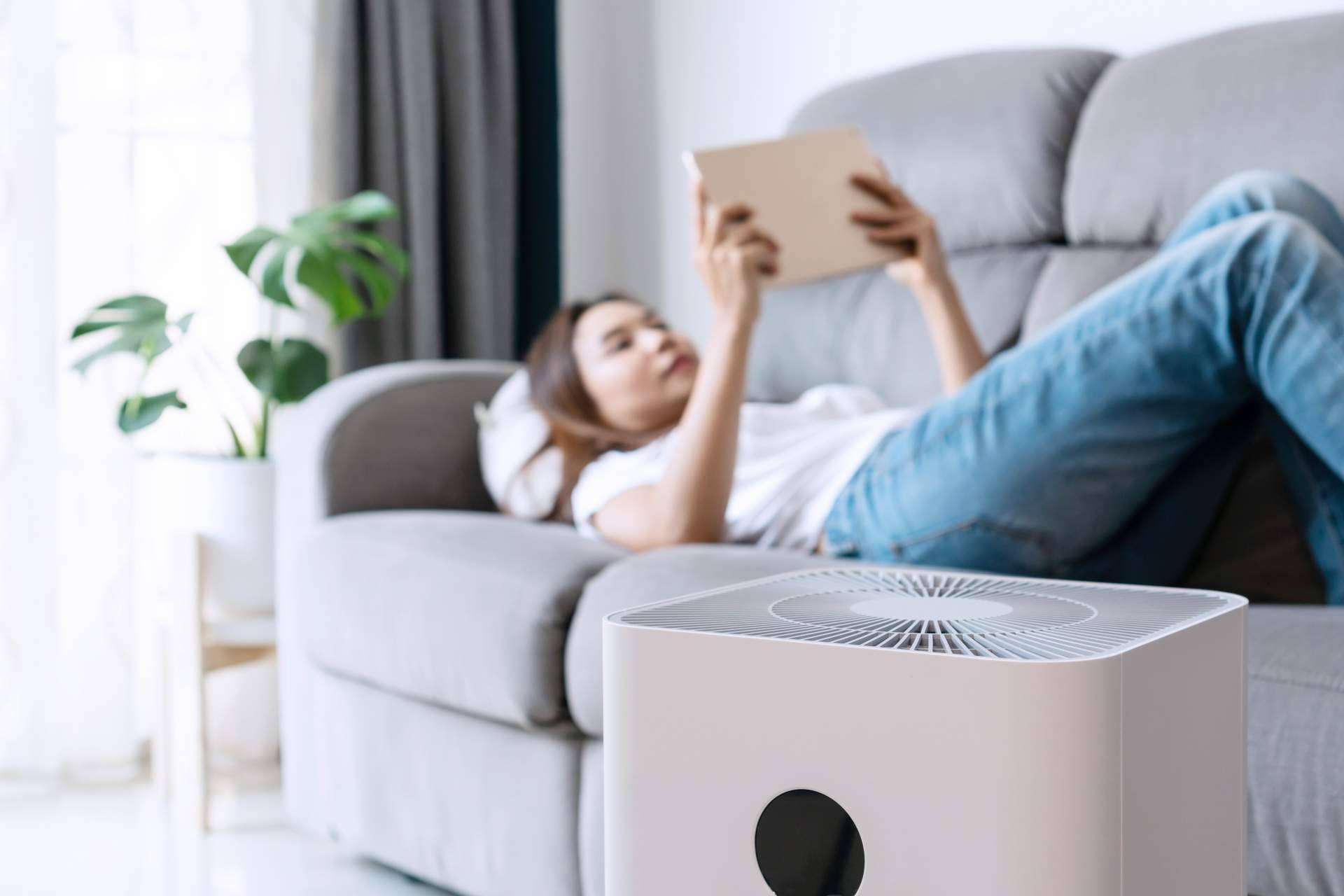 Cómo encontrar un purificador de aire al mejor precio para comenzar a respirar mejor, por Globerada