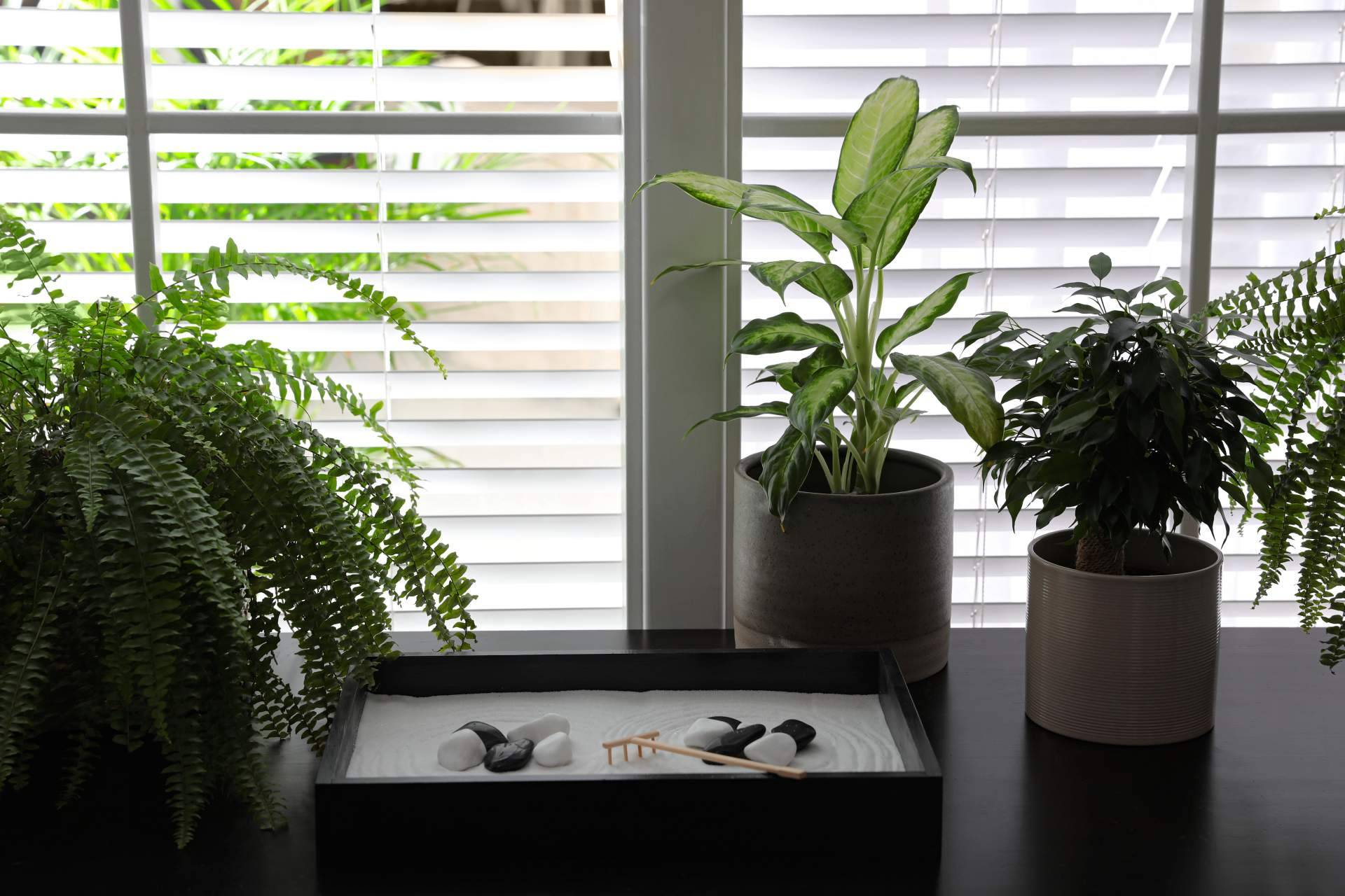 Sonia Ramos destaca la importancia del Feng Shui en la decoración del hogar