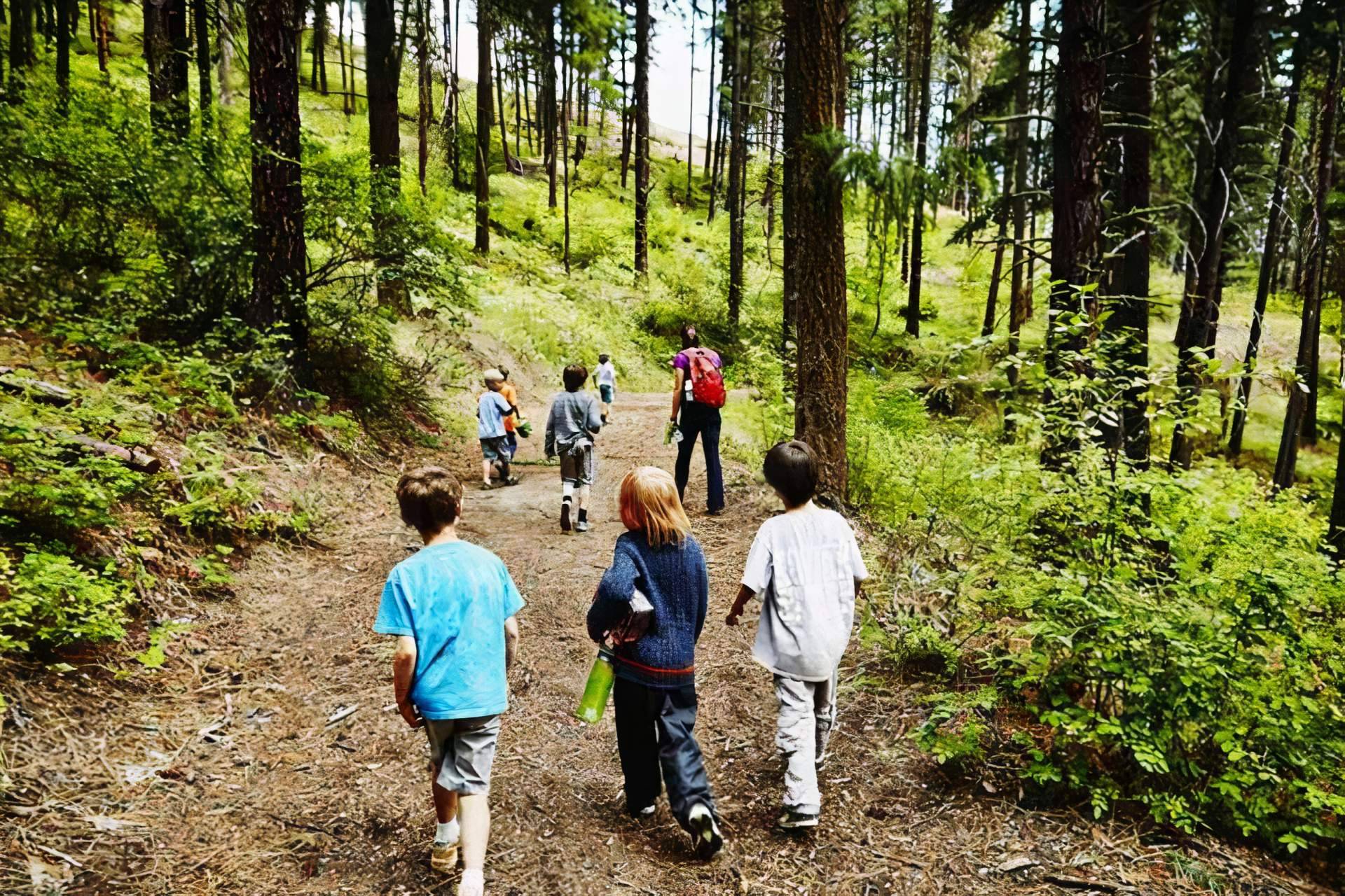 Campamento de verano Cuenca Destination de la mano de English Tutorial Center, aprendizaje y diversión garantizados