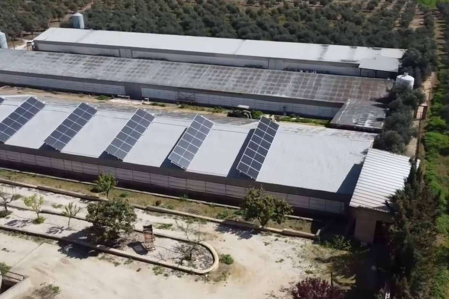 TodoAgrícola presenta los beneficios de contar con energía de autoconsumo en empresas