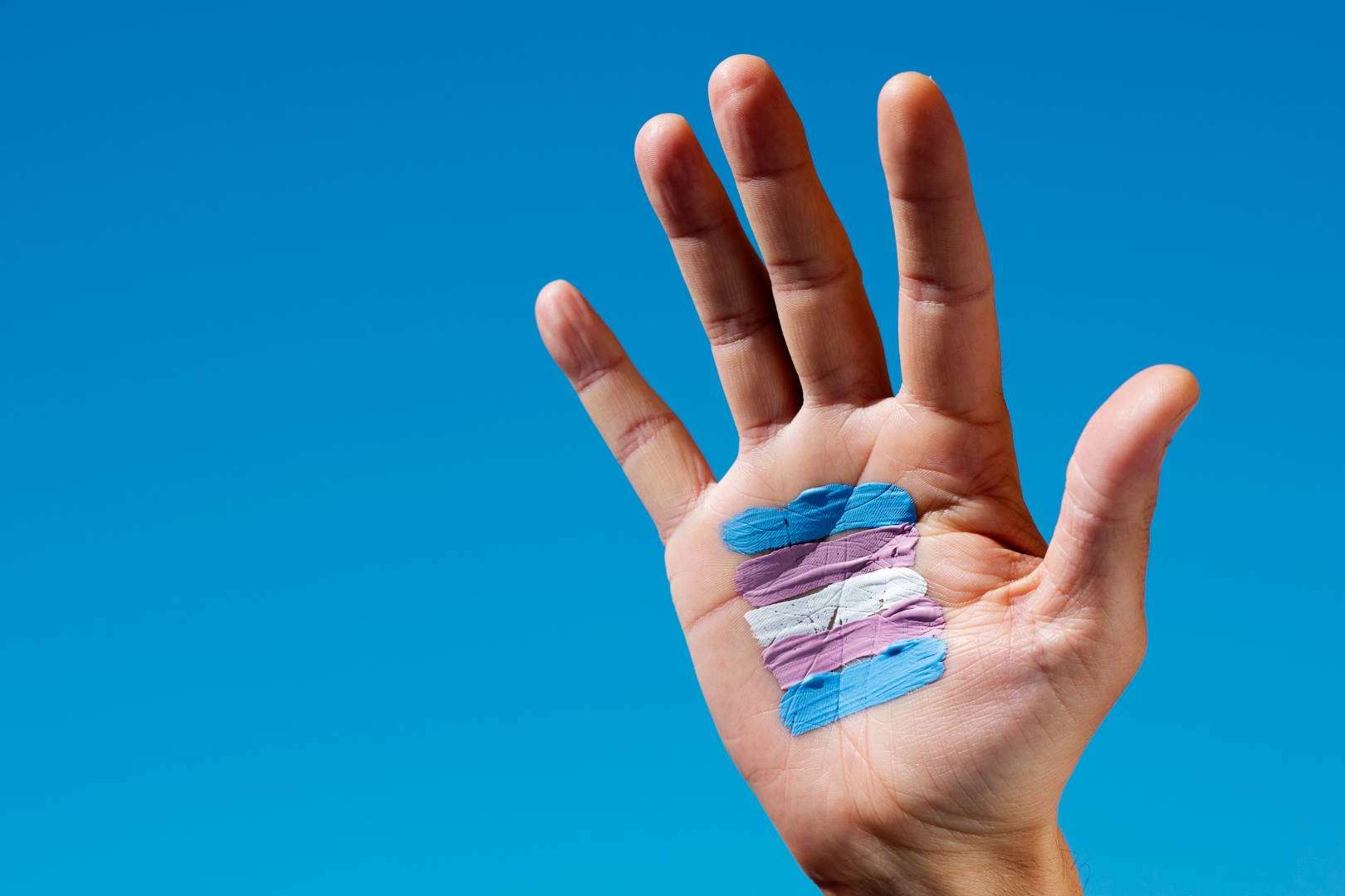 iMorosity apuesta por la diversidad sumándose como colaborador de la Asociación Home of Trans