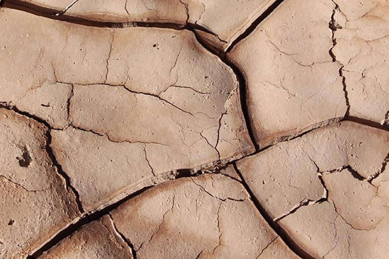 Dicadia aclara dudas sobre cuáles son los síntomas de falta de salivación