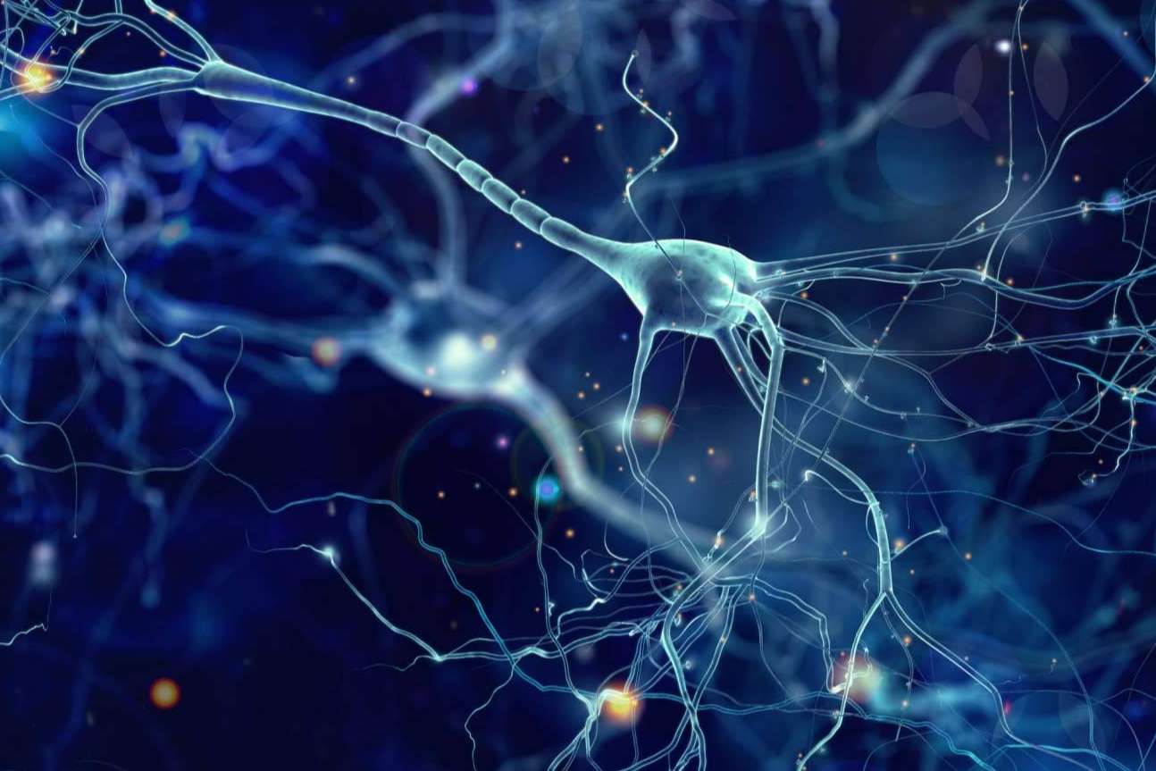 ¿De qué manera medir la inteligencia de forma no verbal de las personas?, de la mano de Giunti Psychometrics