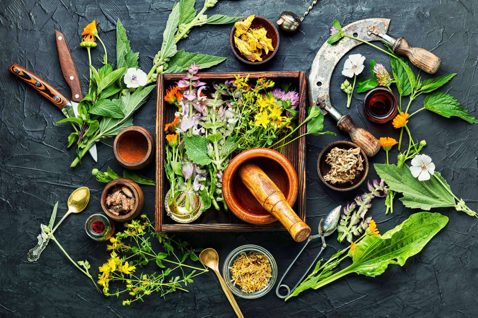 Soria Natural México y sus medicamentos herbolarios