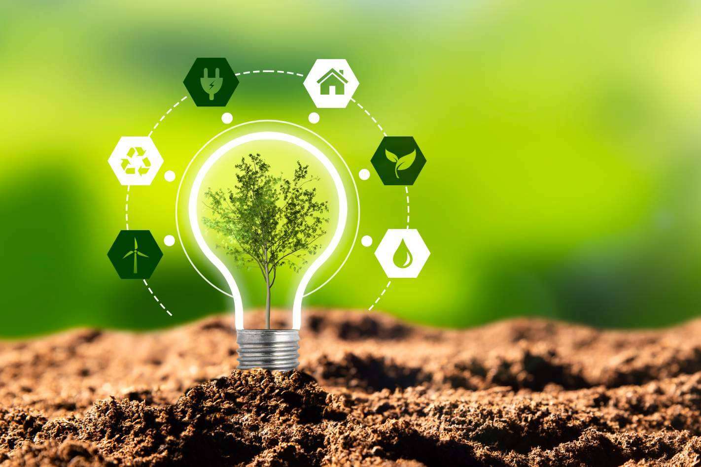 ¿Cómo elegir tarifas de luz y gas competitivas para pequeños negocios y el hogar?
