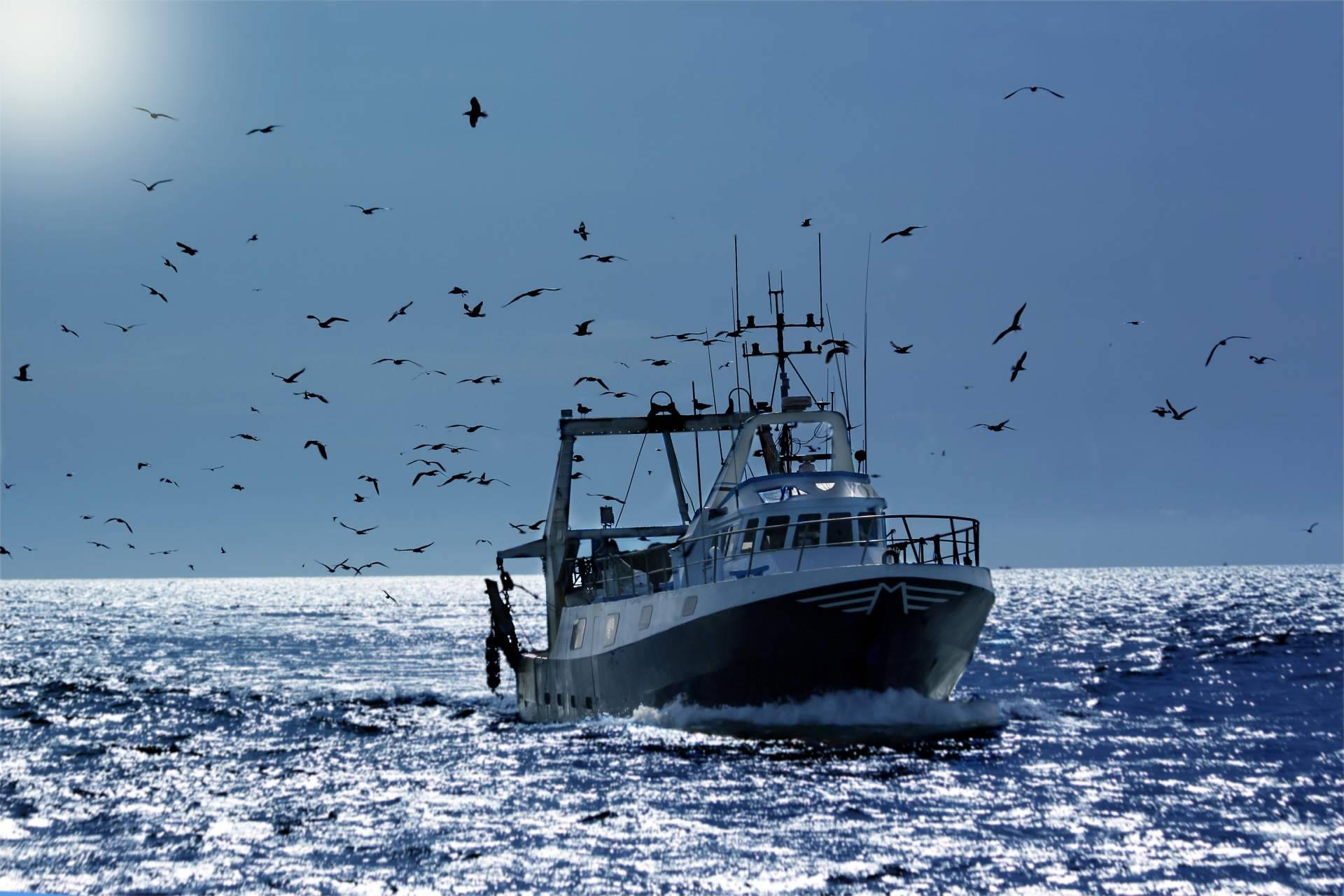 La tienda de accesorios para barcos Nova Argonautica presenta el catálogo de herrajes