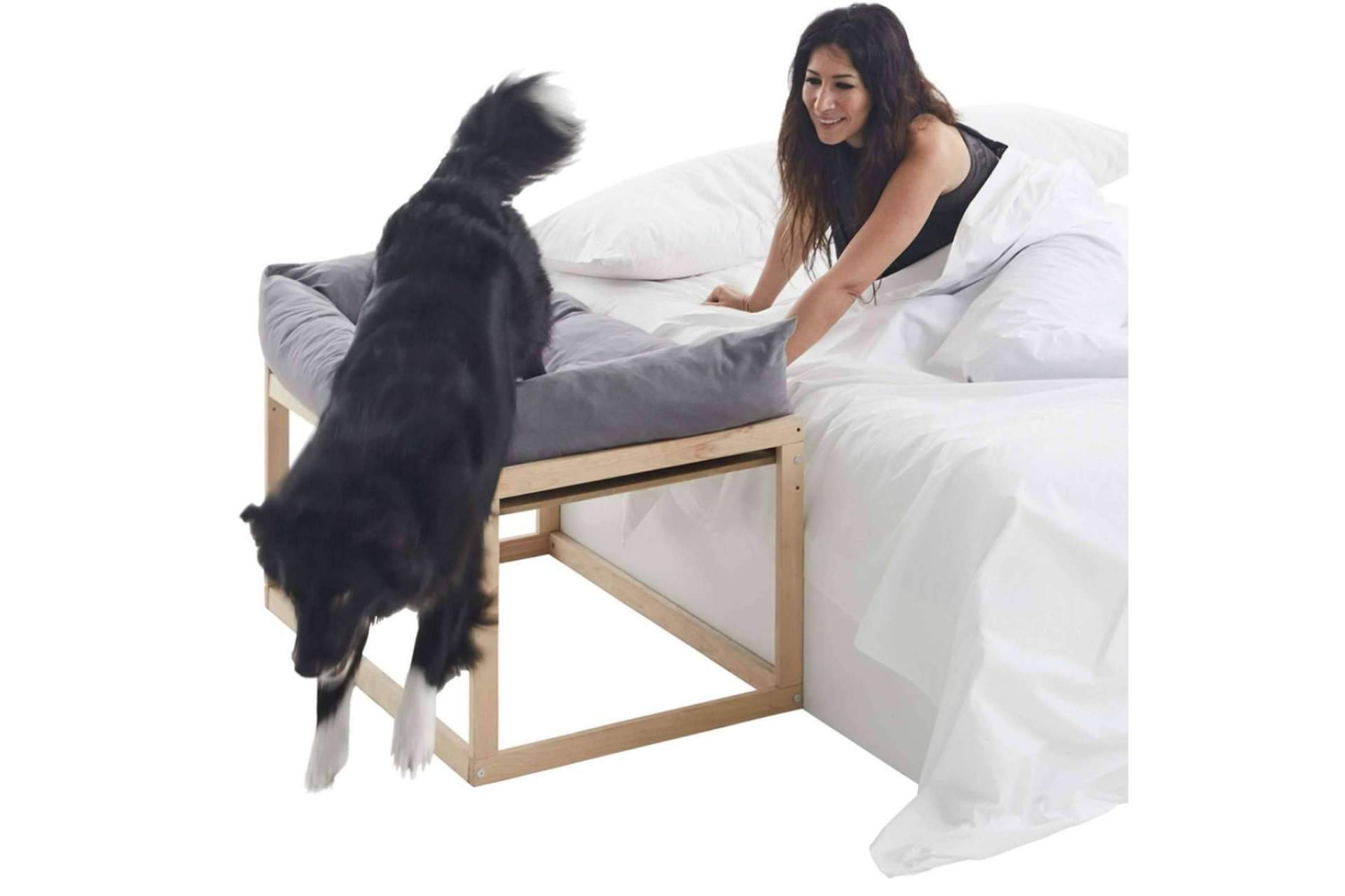 Las camas colecho para perros de Cool-Dreams