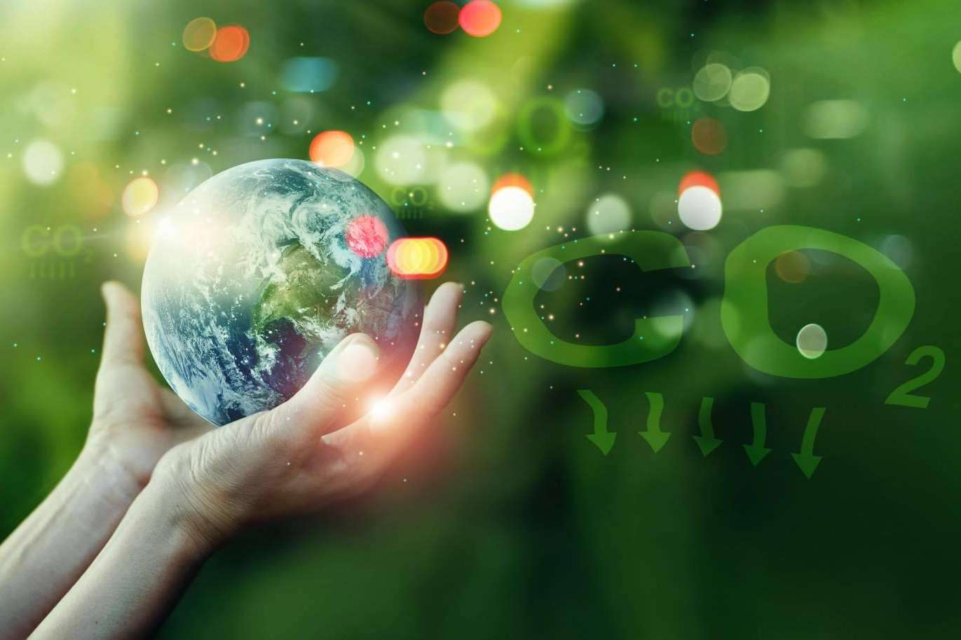 ClimateTrade se centra en compensar la huella de carbono
