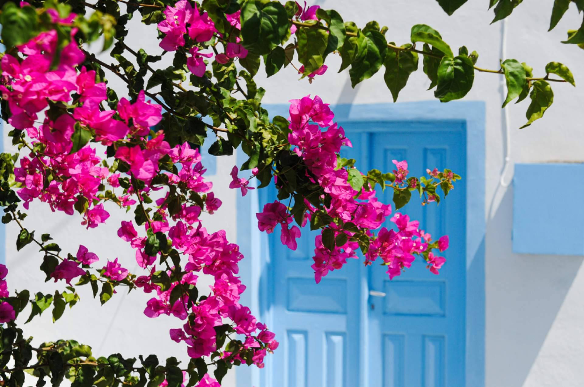 El home staging vacacional, ¿en qué consiste?