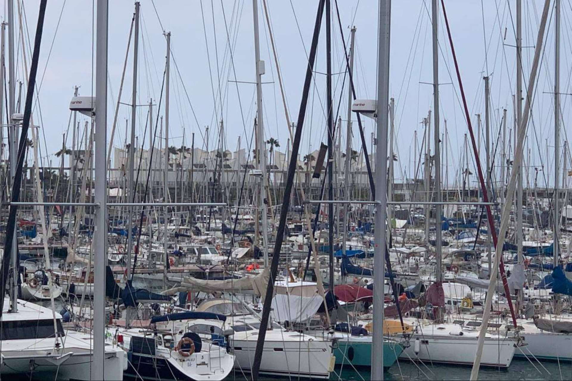 Miles de barcos deberán cambiar su motor de combustible fósil por uno de propulsión eléctrica