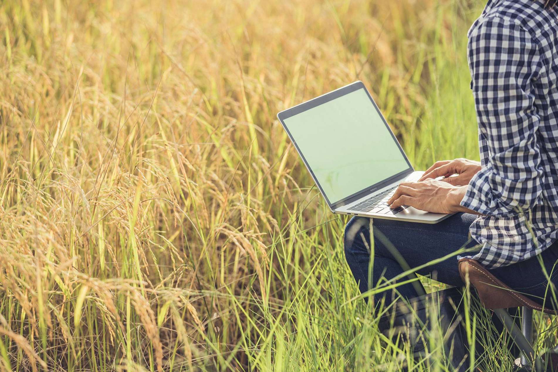 Certitec lanza su ERP Agropecuario para potenciar el sector agrícola