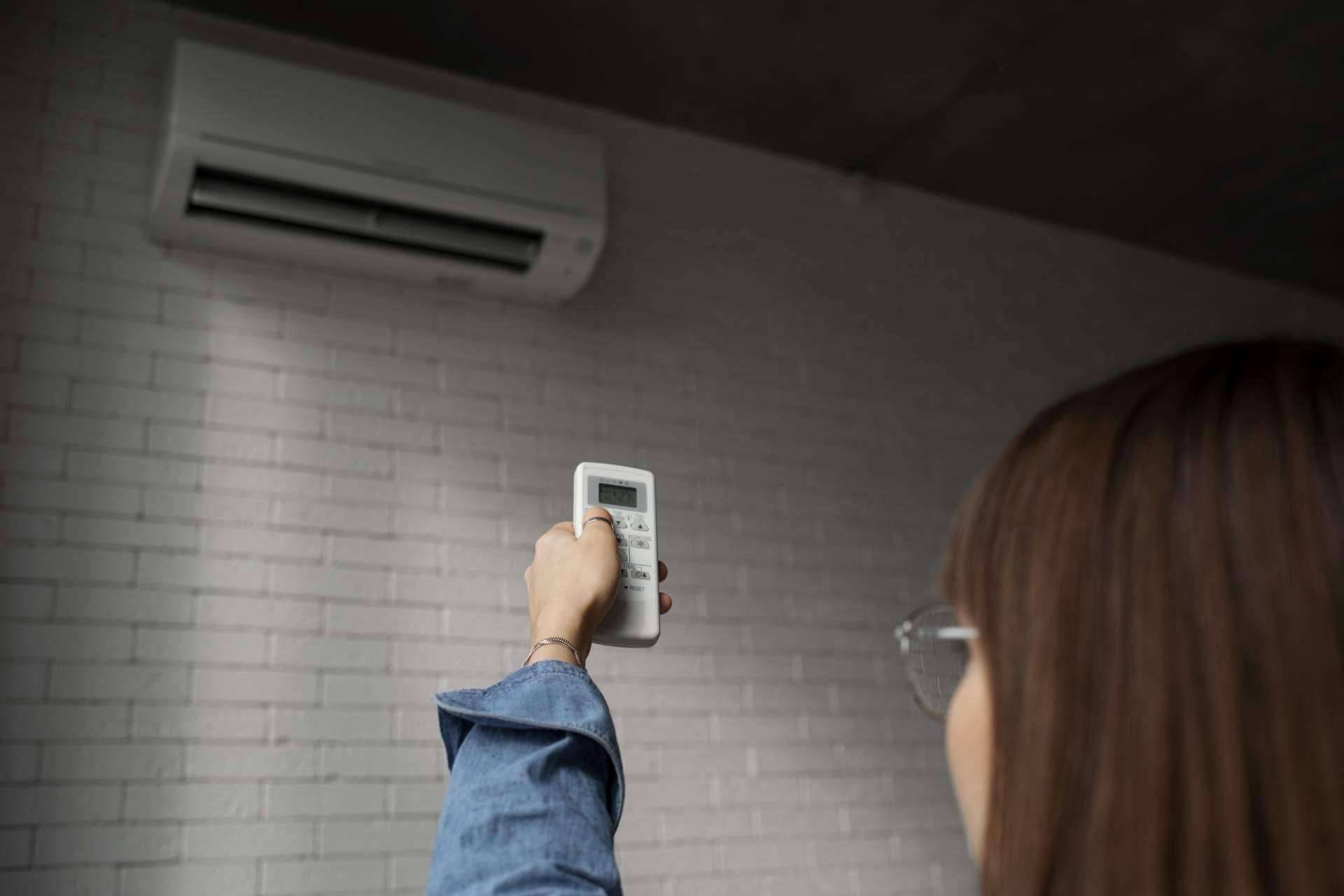 A lo largo del día y del año, ¿cuáles son los mayores picos de consumo eléctrico?