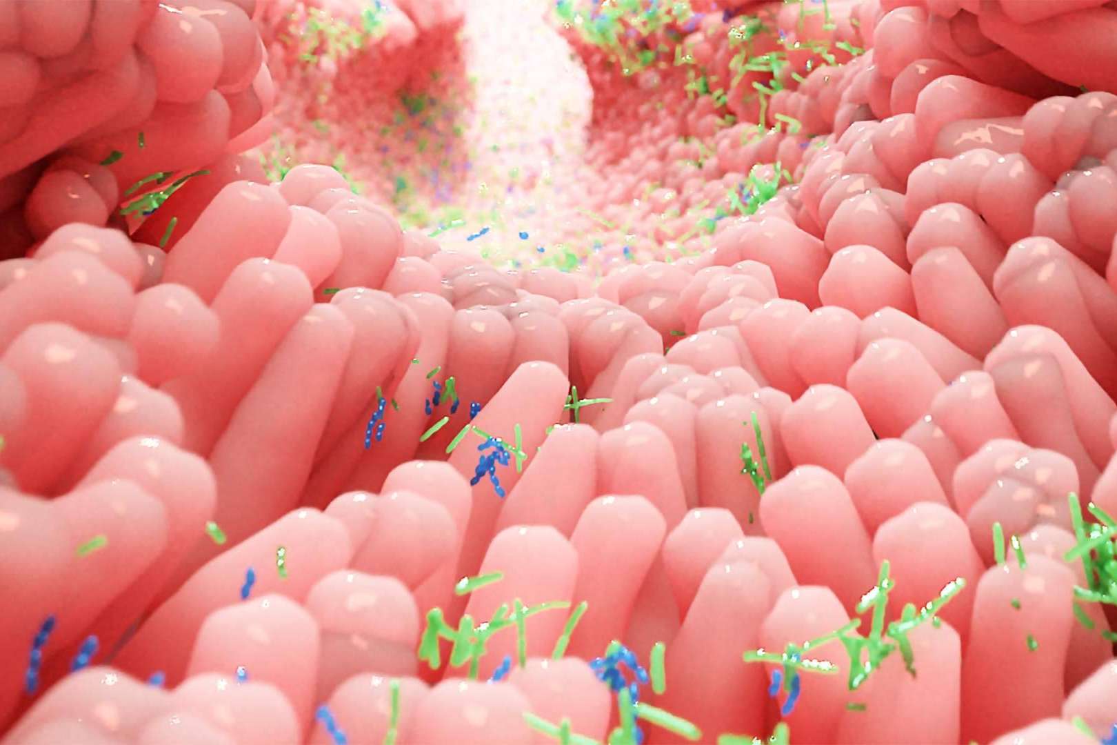 El Dr. Fernando Ruger Viarengo expone el por qué de la pandemia actual, prevención y pautas generales de tratamiento de candidiasis