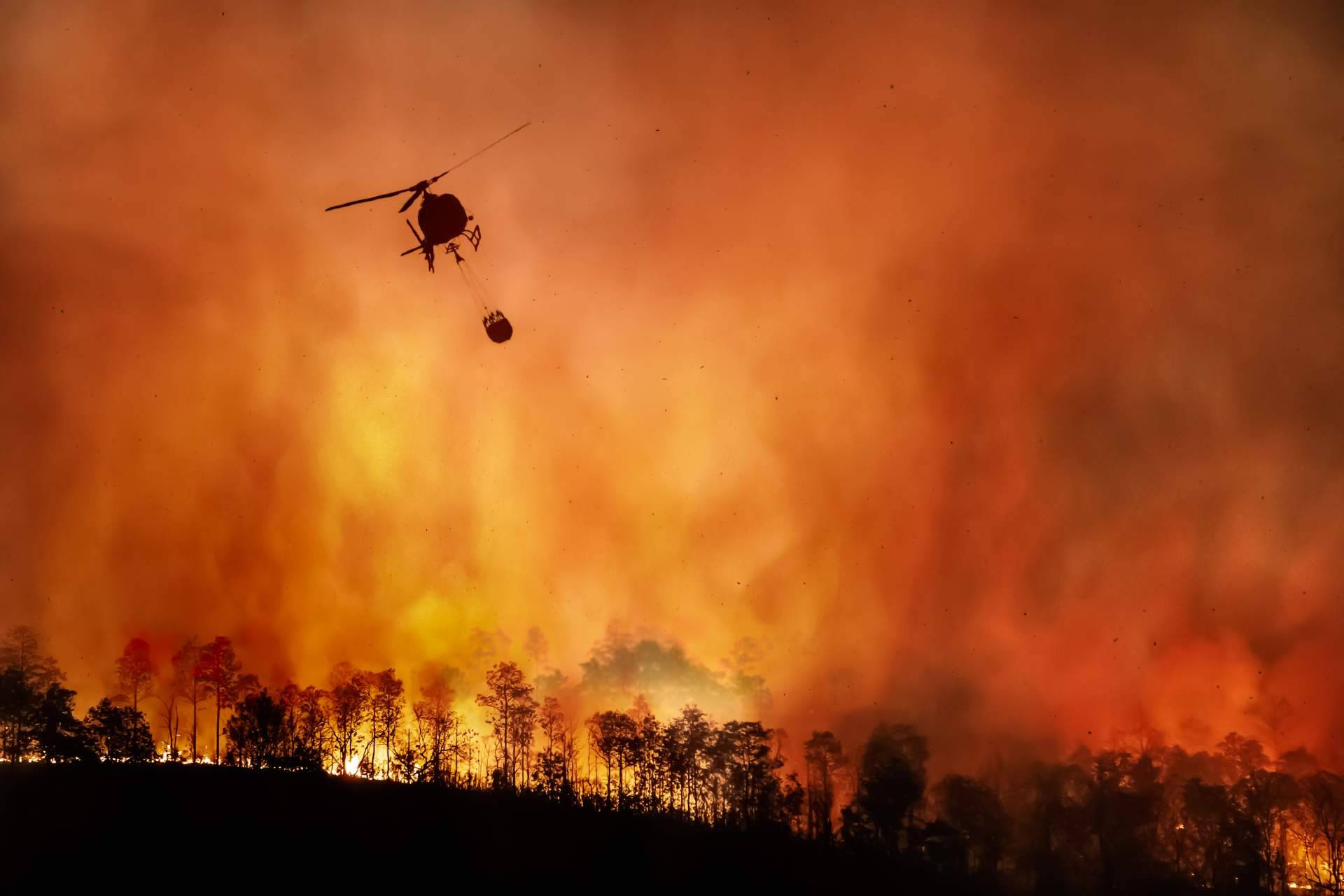 ¿Cómo prevenir los incendios forestales en Mijas?, por #SoydeMijas