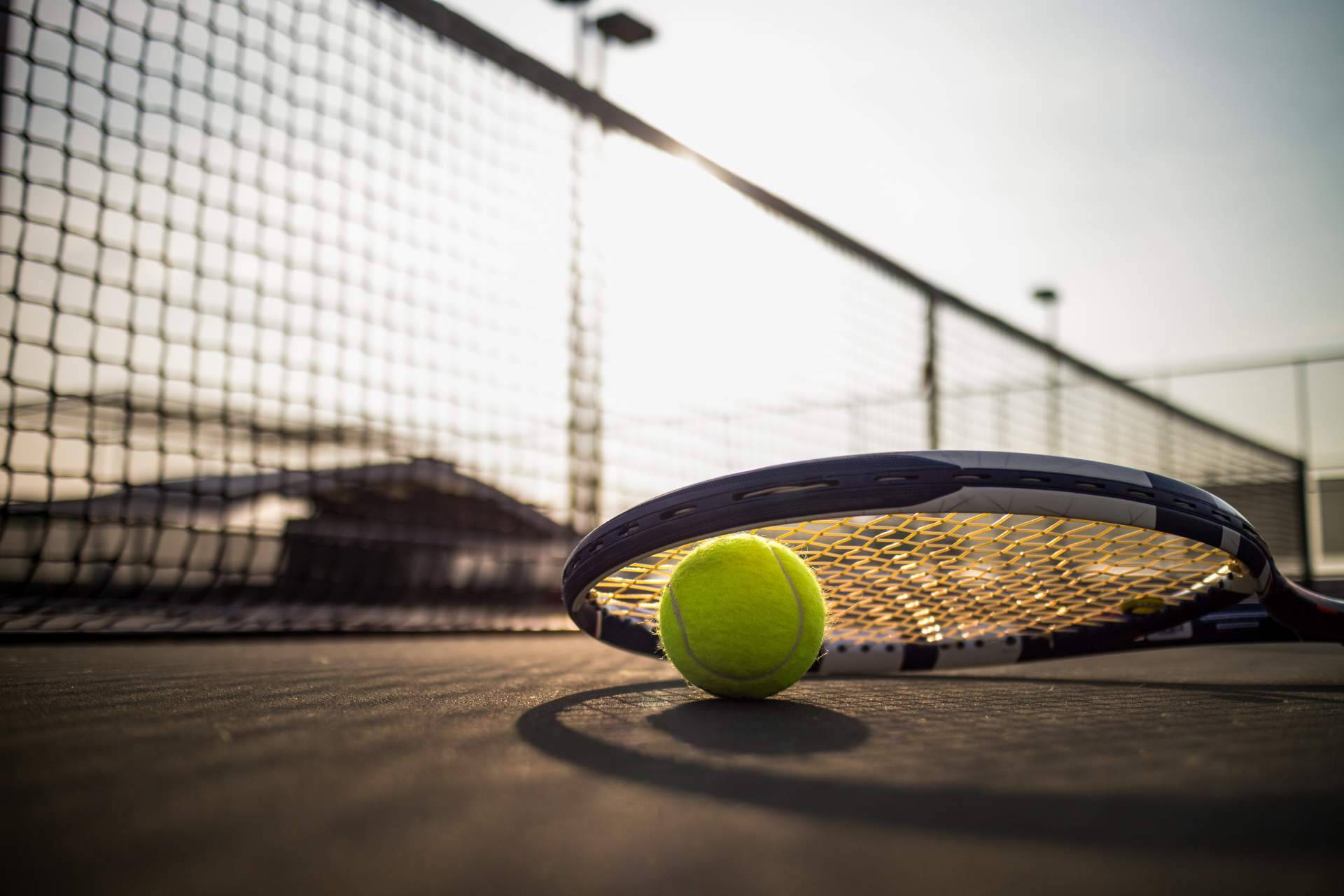 Los tipos de pelotas de tenis que ofrece SPORT AND TREND