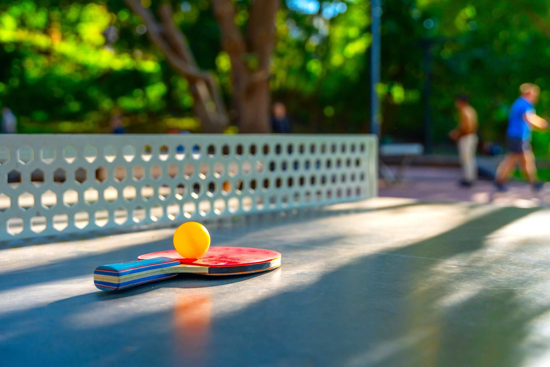 Practicar el tenis de mesa con el amplio catálogo de productos que ofrece SPORT AND TREND