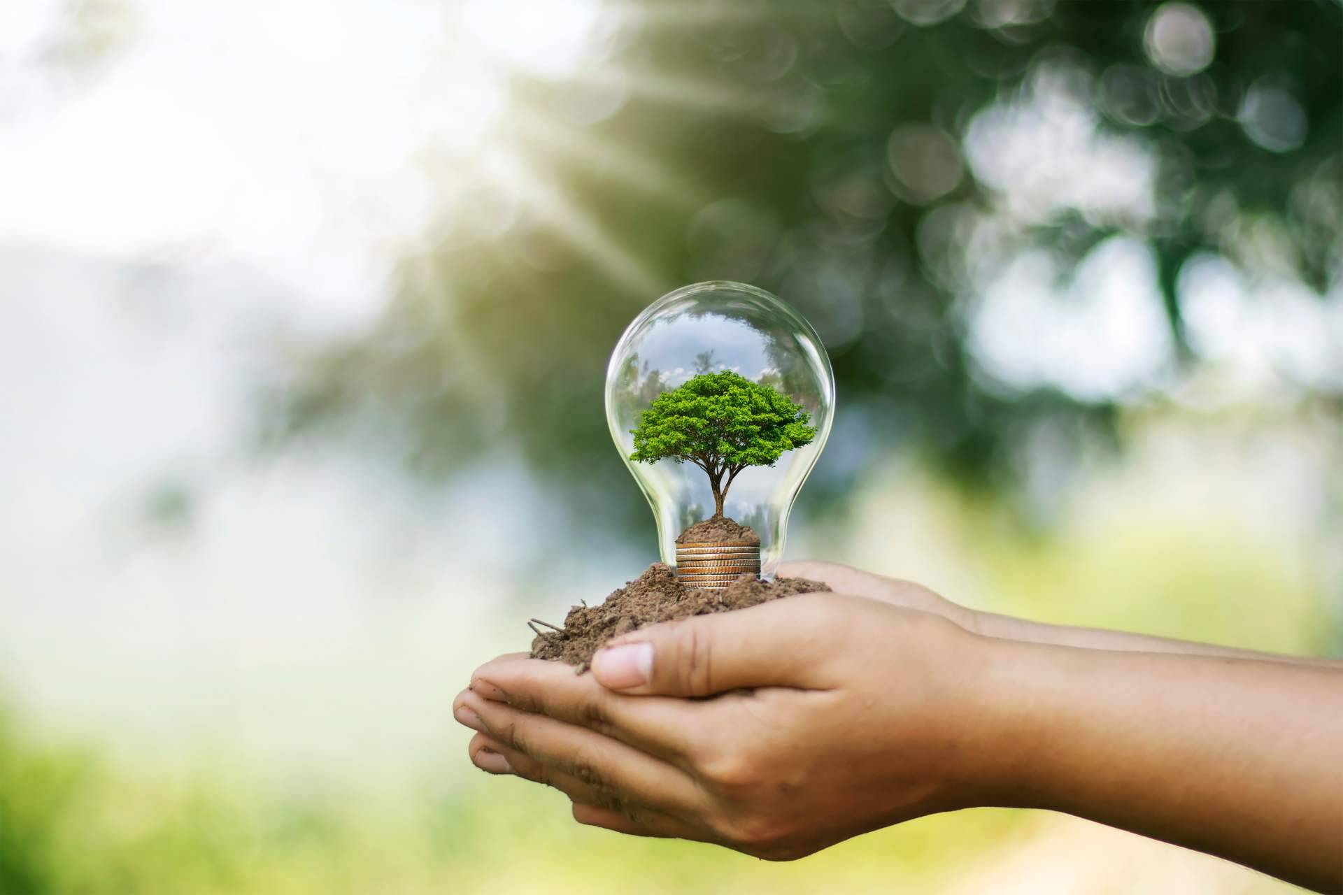 Reducir el consumo energético durante el verano mediante el bombeo solar aislado para piscinas de hoteles y complejos, con Ingeniería MASRED