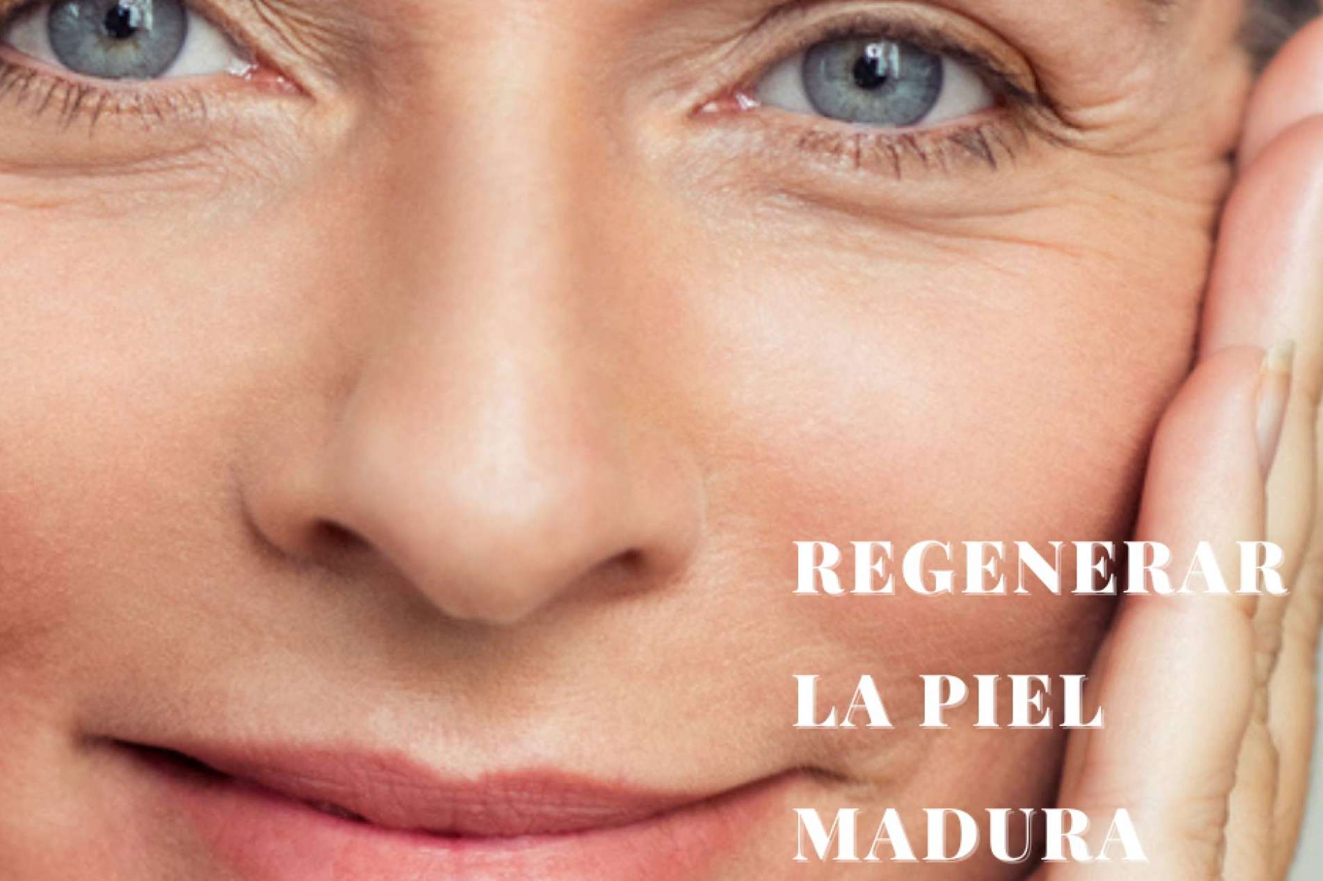 Regeneración de la piel envejecida prematuramente con el serum 24h de Bioticalcare