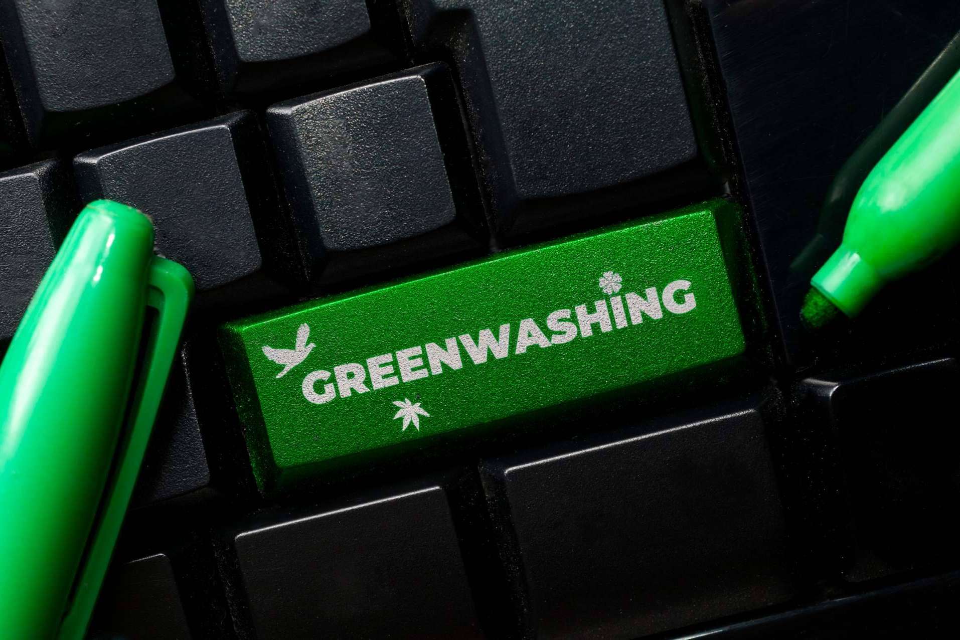 ¿Cómo combatir el greenwashing?, por DoGood